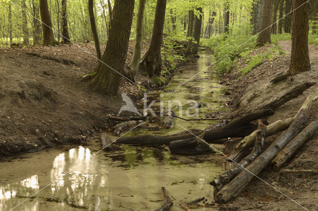 Landgoed Oud Groevenbeek