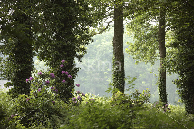 Landgoed ‘t Enzerinck