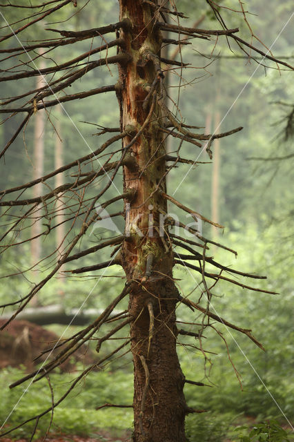 Landgoed ‘t Enzerinck