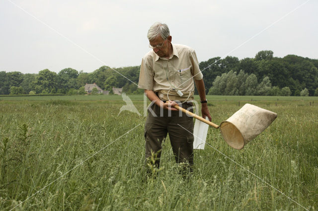 Landgoed Velhorst