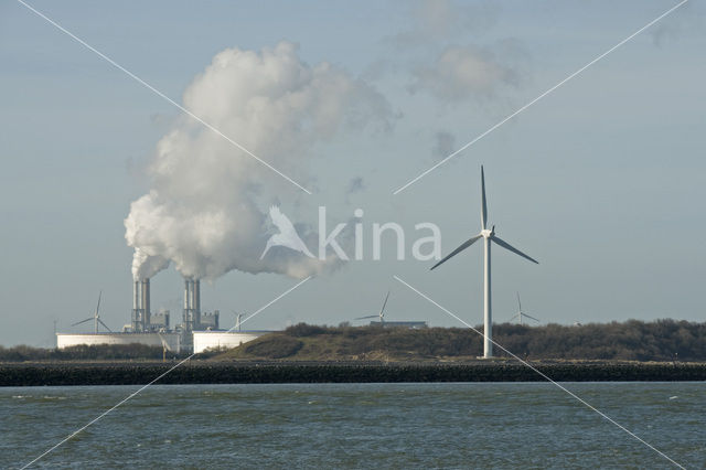 Maasvlakte