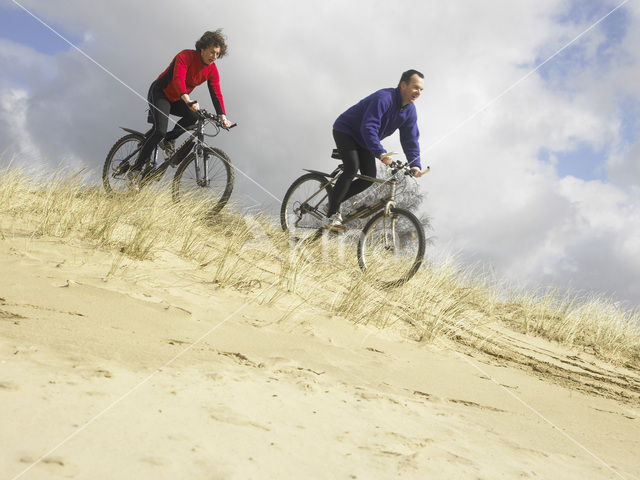 National Park Drents-Friese Wold