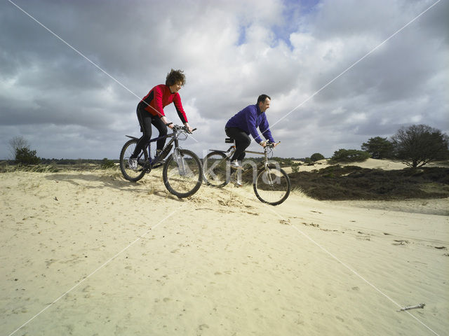 National Park Drents-Friese Wold