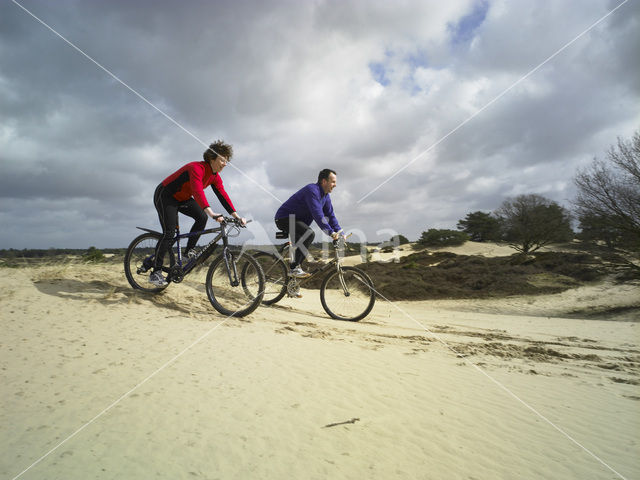 National Park Drents-Friese Wold