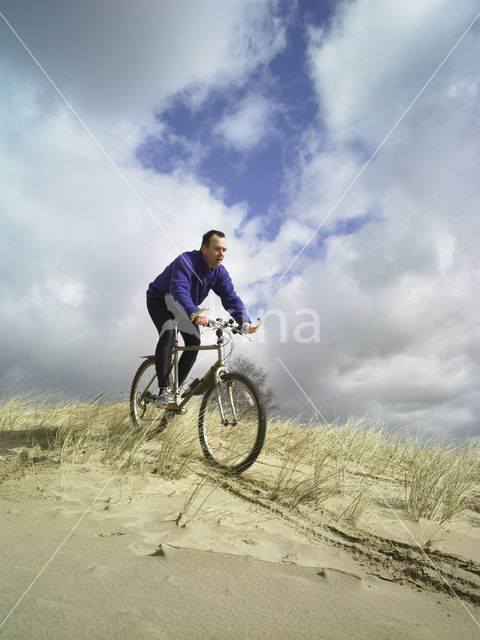 Nationaal Park Drents-Friese Wold