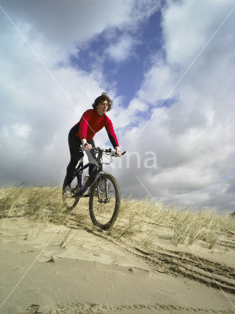 National Park Drents-Friese Wold