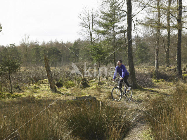 National Park Drents-Friese Wold