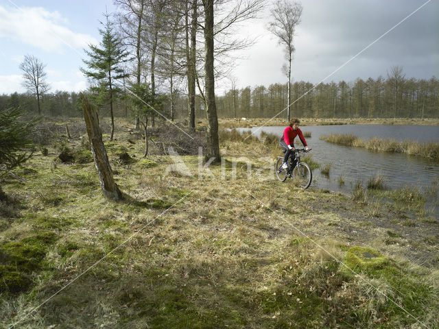 National Park Drents-Friese Wold