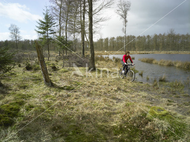 Nationaal Park Drents-Friese Wold