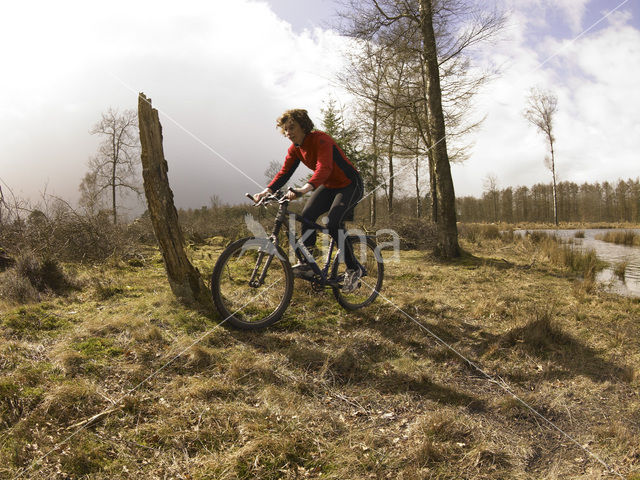 National Park Drents-Friese Wold