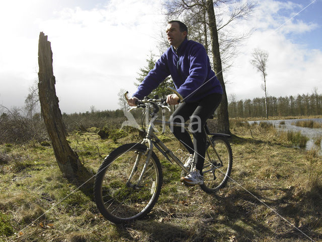 Nationaal Park Drents-Friese Wold