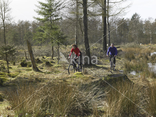 Nationaal Park Drents-Friese Wold