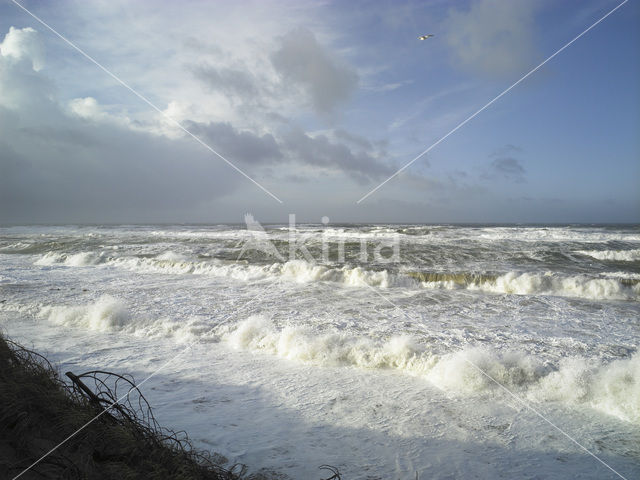 Northsea