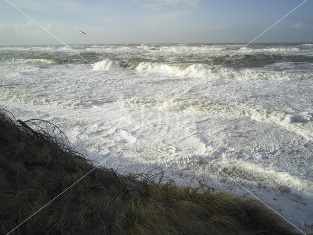 Northsea