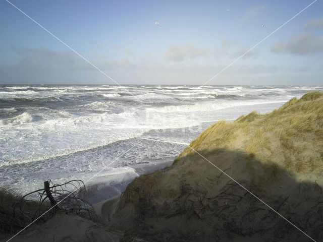 Noordzee