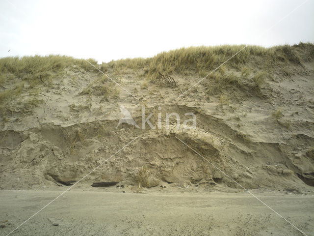 Noordzee