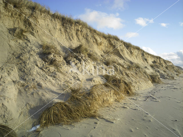 Noordzee