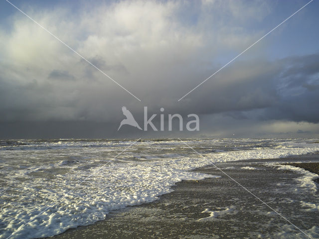 Noordzee