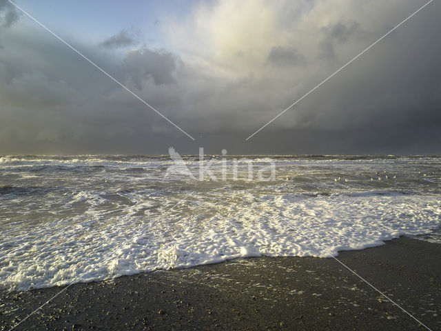 Noordzee