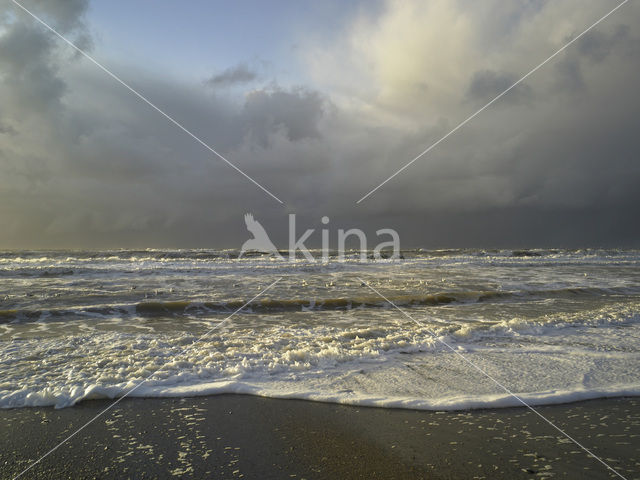 Noordzee