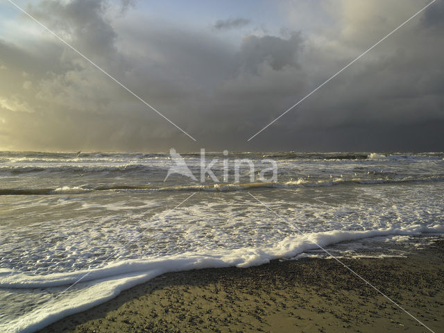 Noordzee