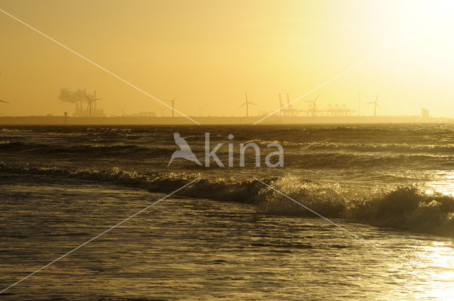 Northsea beach