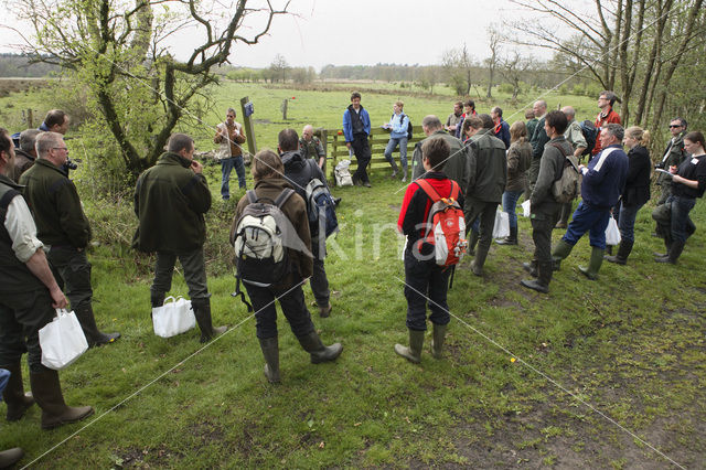 Norger Esdorpenlandschap