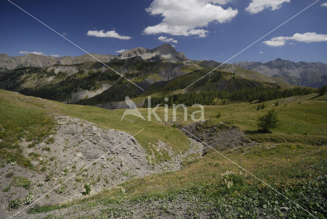 Mercantour National Park
