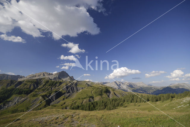 Parc National du Mercantour