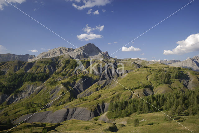 Mercantour National Park