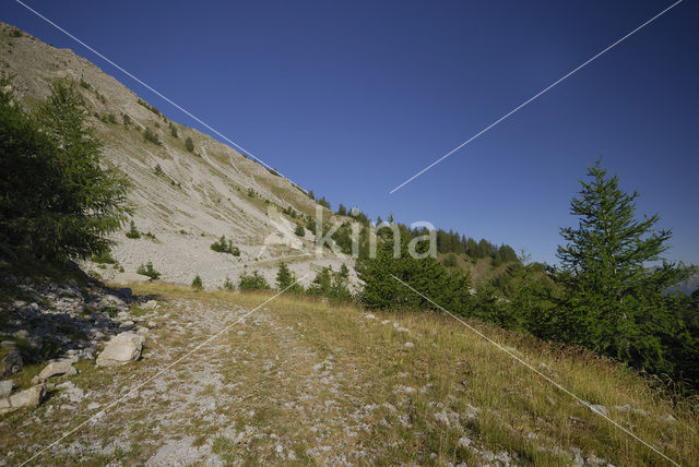 Parc National du Mercantour