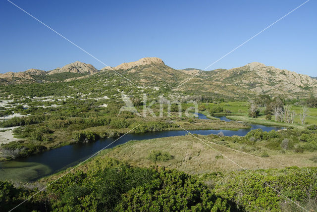 Parc naturel régional de Corse