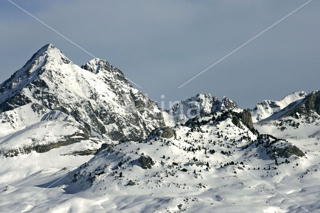 Pyrenees