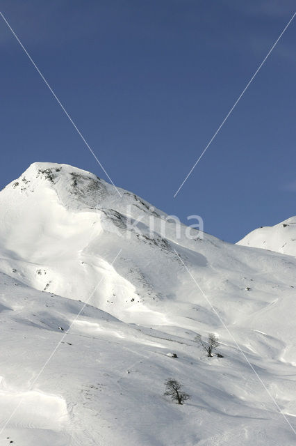 Pyreneeën