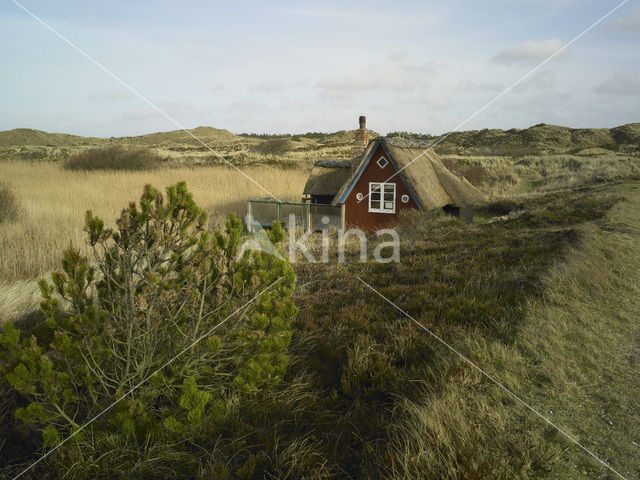 Ringkobing