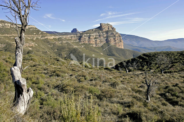 Salto de Roldan