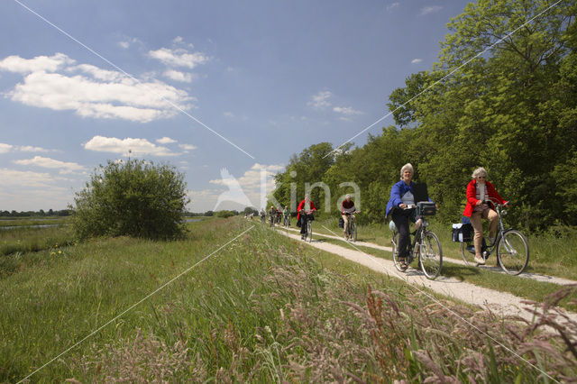 Tienhovense plassen