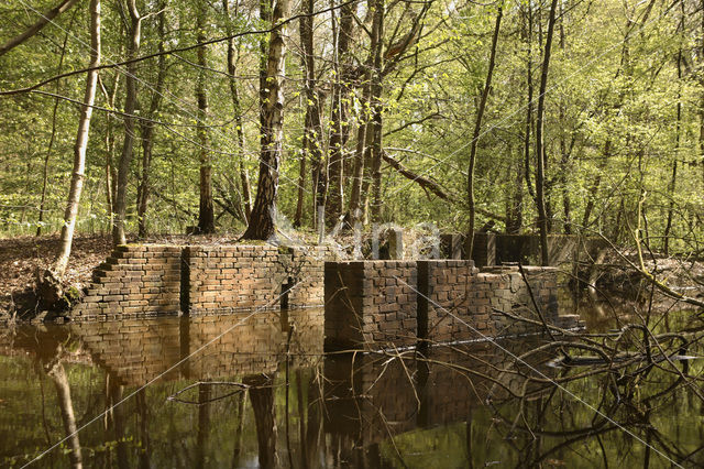 Voorsterbos