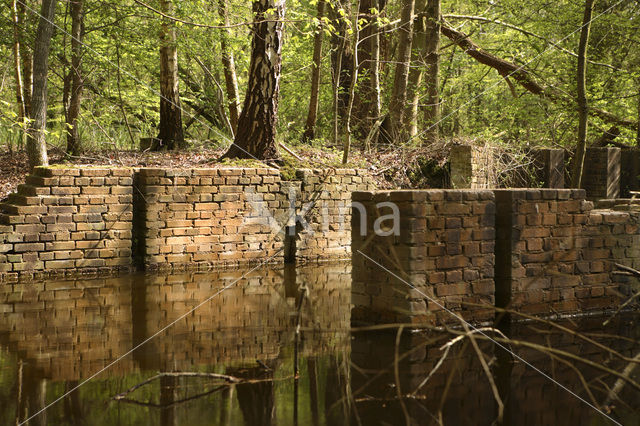 Voorsterbos