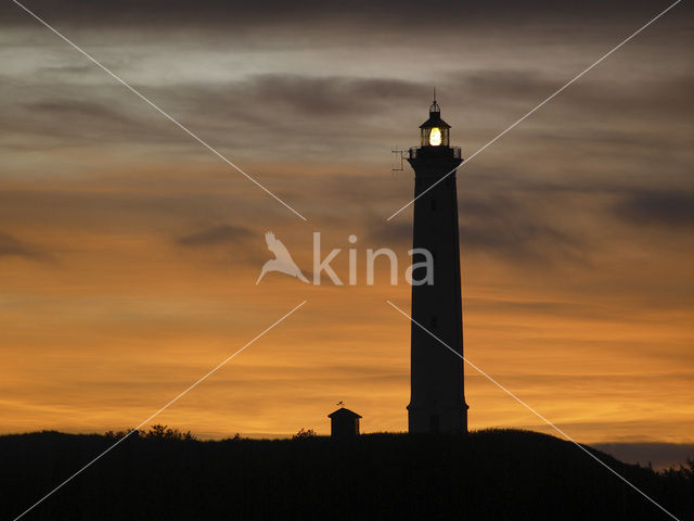 Lighthouse Lyngvig Fyr