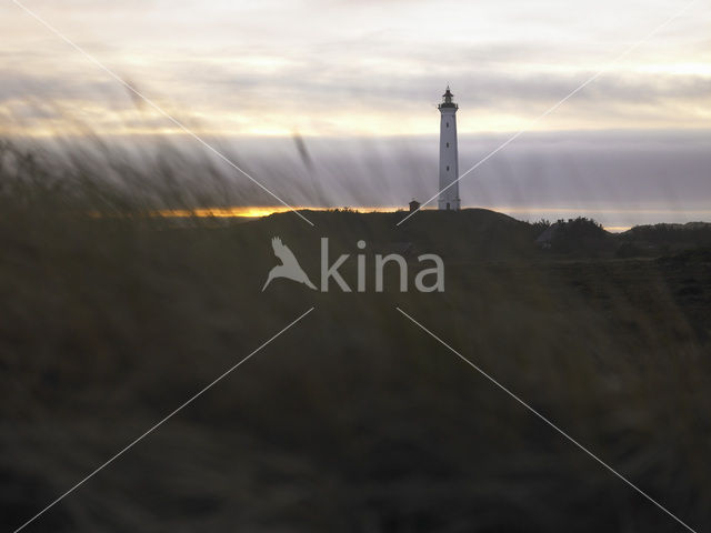 Lighthouse Lyngvig Fyr