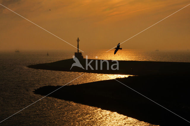 Waddenzee