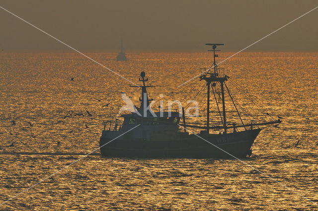 Waddenzee