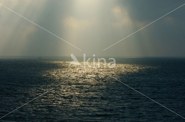 Waddensea