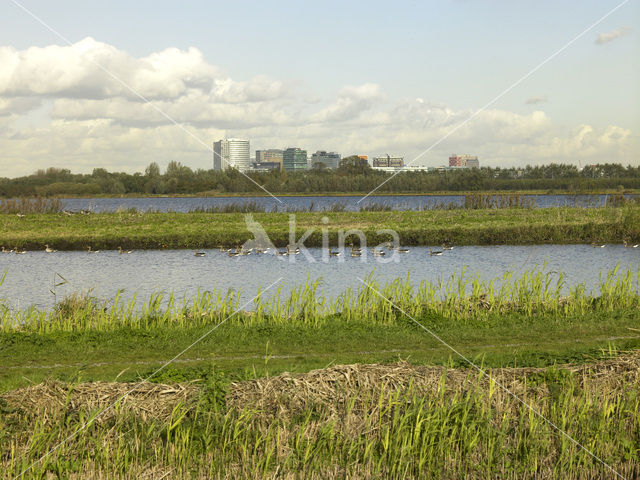 Amsterdam-Zuidoost