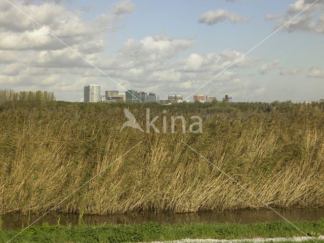 Amsterdam-Zuidoost