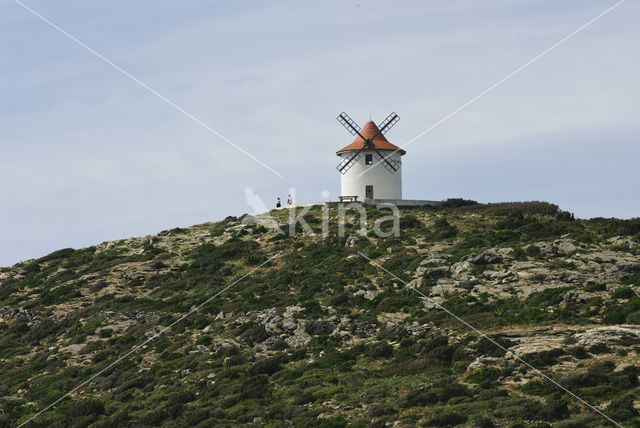 Cap Corse