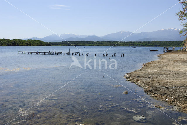 Etang d’Urbino