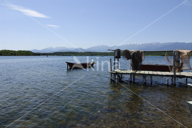 Etang d’Urbino