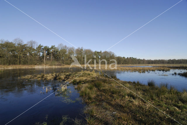 Landgoed de Appel